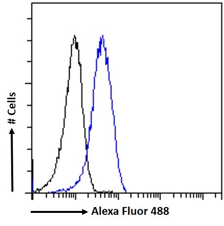 Flow Cytometry - Anti-Leptin Receptor antibody (AB50424), expandable thumbnail