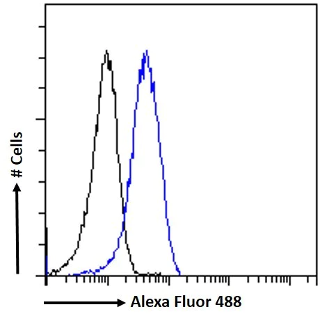 Flow Cytometry - Anti-Leptin Receptor antibody (AB50424)
