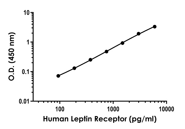Sandwich ELISA - Anti-Leptin Receptor antibody [EPR23802-46] - BSA and Azide free (Detector) (AB281084)