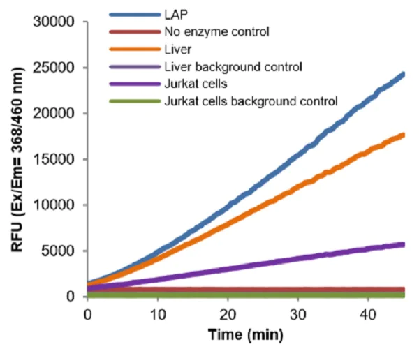 Functional Studies - Leucine Aminopeptidase (LAP) Activity Assay Kit (Fluorometric) (AB234627)