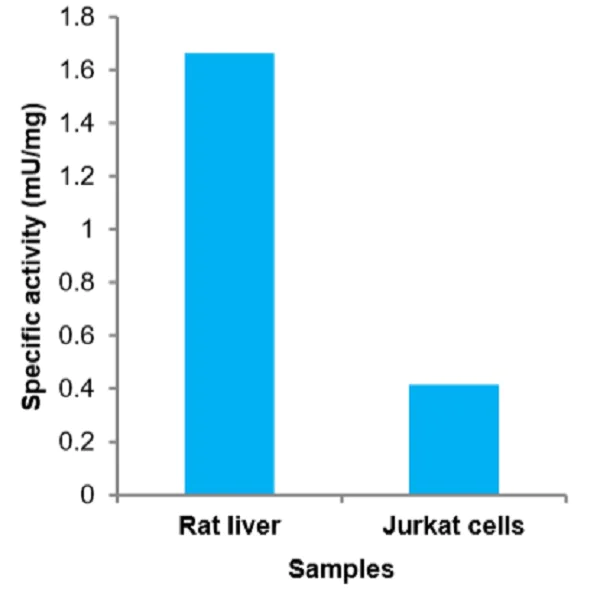Functional Studies - Leucine Aminopeptidase (LAP) Activity Assay Kit (Fluorometric) (AB234627)