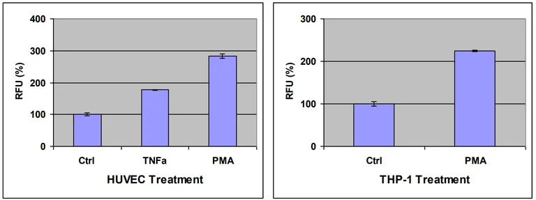 Functional Studies - Leukocyte-endothelium Adhesion Assay (AB325586)
