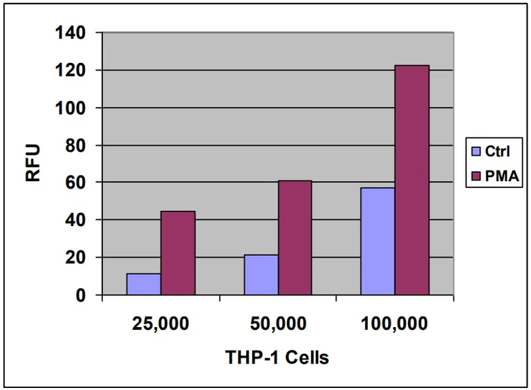Functional Studies - Leukocyte-endothelium Adhesion Assay (AB325586)