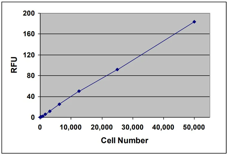 Functional Studies - Leukocyte-endothelium Adhesion Assay (AB325586)