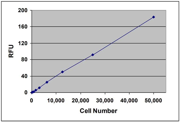 Functional Studies - Leukocyte Transmigration Assay (AB325587)