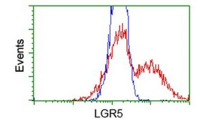 Flow Cytometry - Anti-LGR5 antibody [OTI2A2] (AB273092), expandable thumbnail