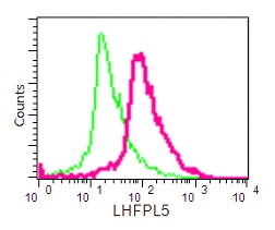Flow Cytometry (Intracellular) - Anti-LHFPL5 antibody [EPR16285] - BSA and Azide free (AB232650)