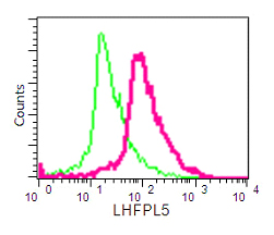 Flow Cytometry (Intracellular) - Anti-LHFPL5 antibody [EPR16285] - C-terminal (AB192242), expandable thumbnail