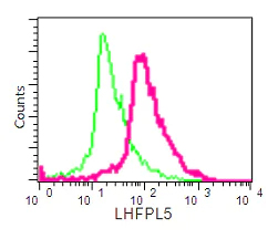 Flow Cytometry (Intracellular) - Anti-LHFPL5 antibody [EPR16285] - C-terminal (AB192242)