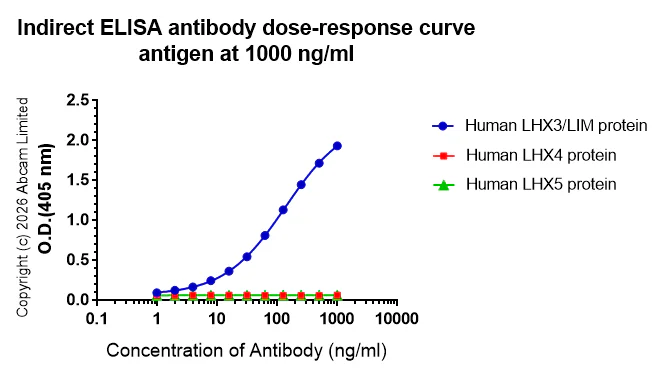 Indirect ELISA - Anti-LHX3/LIM antibody [EPR29190-234] (AB325931)
