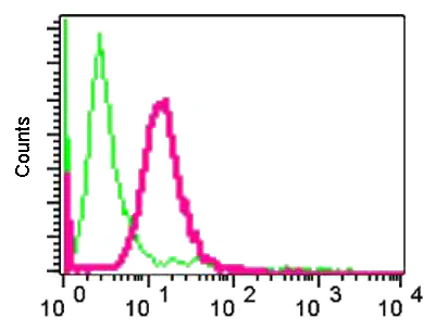 Flow Cytometry (Intracellular) - Anti-LHX3/LIM antibody [EPR3344(2)] - BSA and Azide free (AB247966)