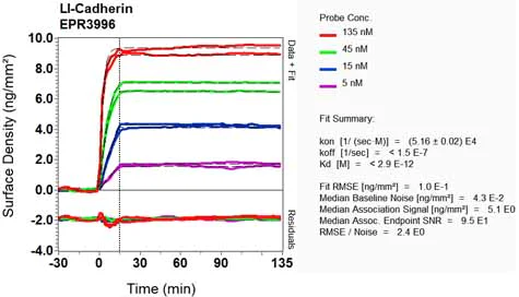 OI-RD Scanning - Anti-LI Cadherin antibody [EPR3996] (AB109190)