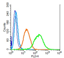 Flow Cytometry - Anti-LIFR antibody (AB202847), expandable thumbnail