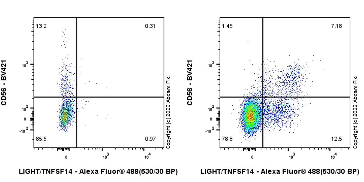 Flow Cytometry - Anti-LIGHT/TNFSF14 antibody [EPR23428-536] (AB305235), expandable thumbnail
