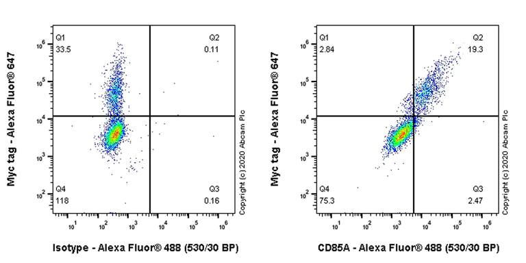 Flow Cytometry (Intracellular) - Anti-LILRB3 antibody [FRAS92B] (AB271287)