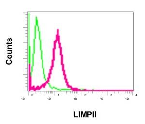 Flow Cytometry (Intracellular) - Anti-LIMPII antibody [EPR12080] (ab176317), expandable thumbnail