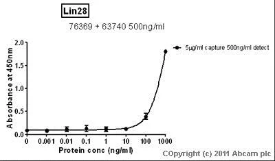 Sandwich ELISA - Anti-Lin28A antibody [6D1F9] (AB76369)
