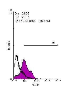 Flow Cytometry - Anti-Lin28A antibody (AB155542)
