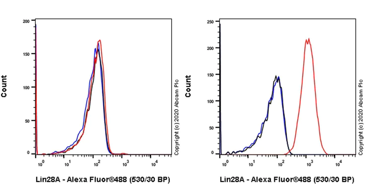 Flow Cytometry (Intracellular) - Anti-Lin28A antibody [EPR24286-100] - BSA and Azide free (AB279650)