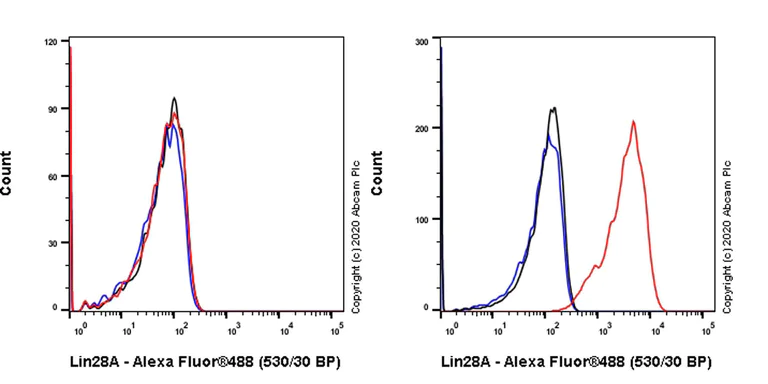 Flow Cytometry (Intracellular) - Anti-Lin28A antibody [EPR24286-100] - BSA and Azide free (AB279650)