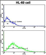 Flow Cytometry (Intracellular) - Anti-Lin28B antibody (AB115698)