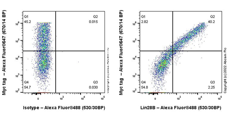 Flow Cytometry (Intracellular) - Anti-Lin28B antibody [EPR25252-20] - BSA and Azide free (AB290003)