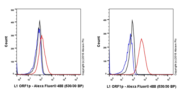 Flow Cytometry (Intracellular) - Anti-LINE-1 ORF1p antibody [EPR21844-108] (ab216324), expandable thumbnail