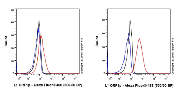 Flow Cytometry (Intracellular) - Anti-LINE-1 ORF1p antibody [EPR21844-108] - BSA and Azide free (AB245122)