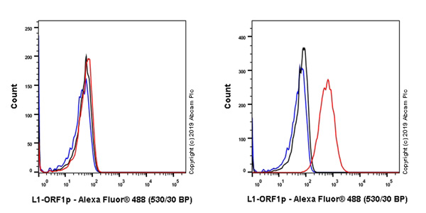 Flow Cytometry (Intracellular) - Anti-LINE-1 ORF1p antibody [EPR22227-54] - BSA and Azide free (AB246320)