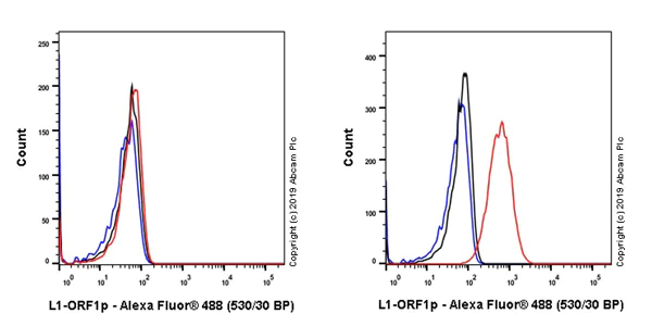 Flow Cytometry (Intracellular) - Anti-LINE-1 ORF1p antibody [EPR22227-54] - BSA and Azide free (AB246320)