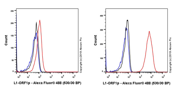 Flow Cytometry (Intracellular) - Anti-LINE-1 ORF1p antibody [EPR22227-6] - BSA and Azide free (AB246317)