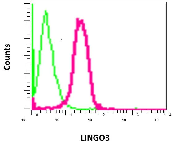 Flow Cytometry (Intracellular) - Anti-LINGO3 antibody [EPR9635] - BSA and Azide free (AB249518)