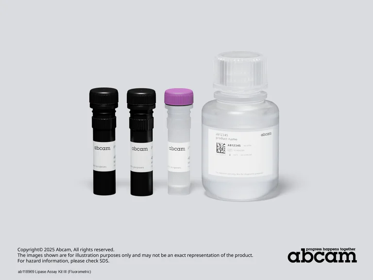 Schematic Diagram - Lipase Assay Kit III (Fluorometric) (AB118969)