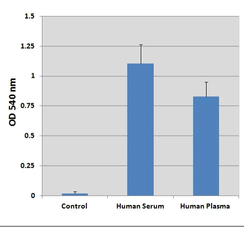 Functional Studies - Lipid Assay Kit (unsaturated fatty acids) (AB242305)