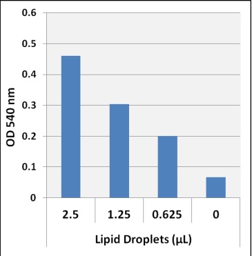 Functional Studies - Lipid Droplet Isolation Kit (AB242290), expandable thumbnail