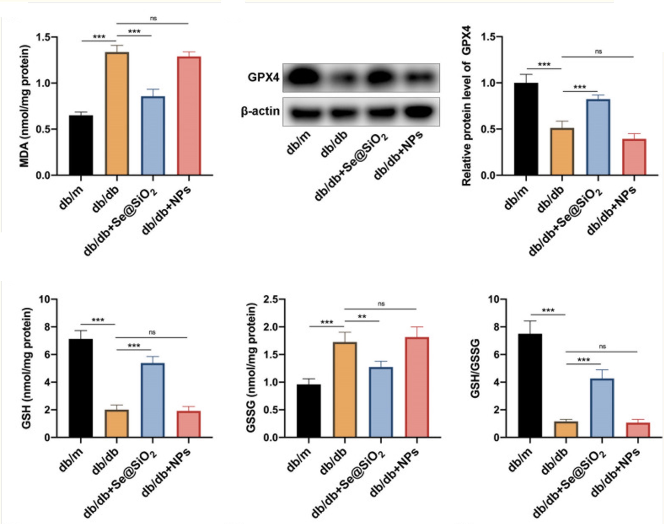 Biochemical assay - Lipid Peroxidation (MDA) Assay Kit (Colorimetric/Fluorometric) (ab118970), expandable thumbnail