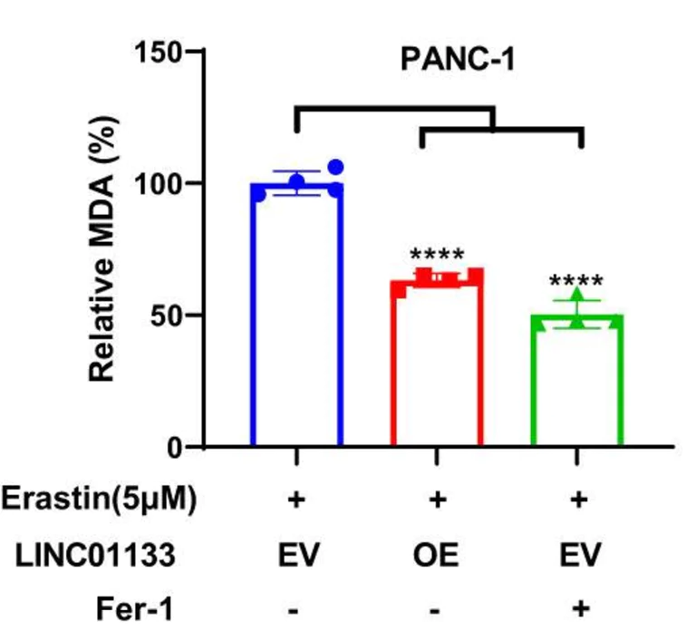 Biochemical assay - Lipid Peroxidation (MDA) Assay Kit (Colorimetric/Fluorometric) (AB118970)
