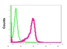 Flow Cytometry (Intracellular) - Anti-Lipin 2/LPIN2 antibody [EPR12479] - BSA and Azide free (AB249920)