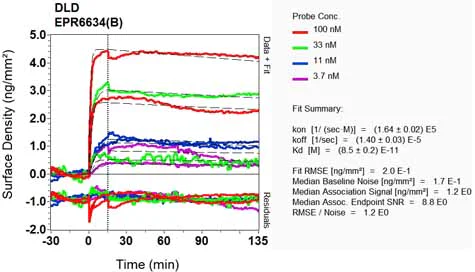 OI-RD Scanning - Anti-Lipoamide Dehydrogenase antibody [EPR6634(B)] (AB124926)