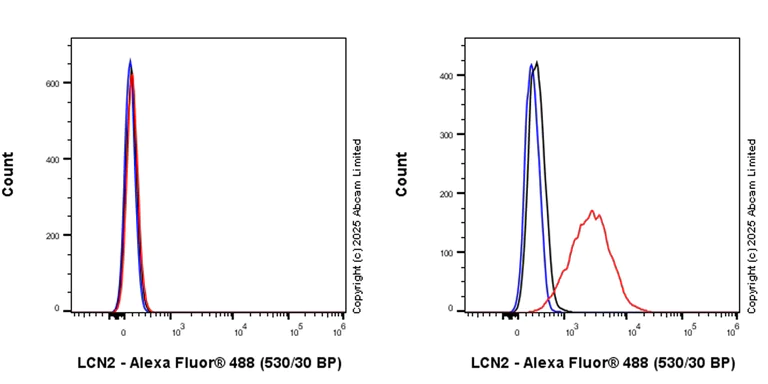 Flow Cytometry (Intracellular) - Anti-Lipocalin-2 / NGAL antibody [EPR19912-51] - BSA and Azide free (Detector) (AB242884)