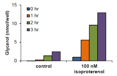 Functional Studies - Lipolysis Assay Kit (Colorimetric) (AB185433), expandable thumbnail