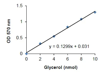Functional Studies - Lipolysis Assay Kit (Colorimetric) (AB185433)