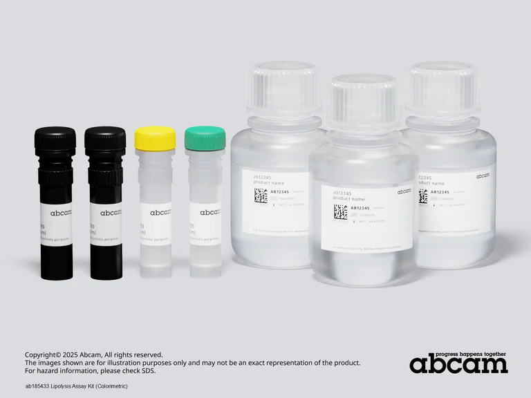 Schematic Diagram - Lipolysis Assay Kit (Colorimetric) (AB185433)