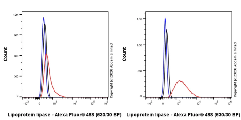 Flow Cytometry (Intracellular) - Anti-Lipoprotein lipase antibody [EPR31098-680] (AB328031)