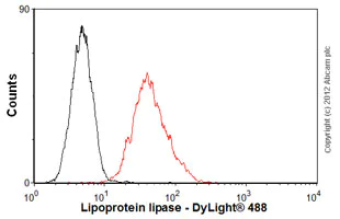 Flow Cytometry - Anti-Lipoprotein lipase antibody [LPL.A4] (AB21356)
