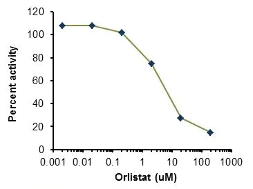 Functional Studies - Lipoprotein Lipase Assay Kit (Fluorometric) (AB204721)
