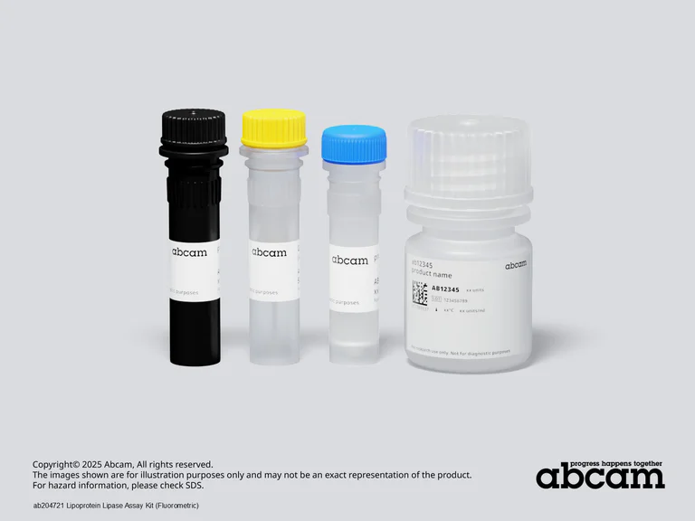 Schematic Diagram - Lipoprotein Lipase Assay Kit (Fluorometric) (AB204721)