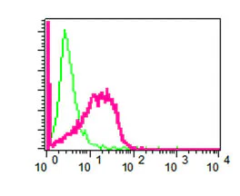 Flow Cytometry (Intracellular) - Anti-LIS1 antibody [EPR3335(2)] - BSA and Azide free (AB247915)