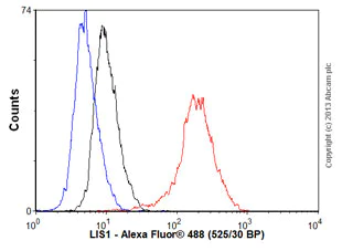 Flow Cytometry (Intracellular) - Anti-LIS1 antibody [EPR3335(2)] - BSA and Azide free (AB247915)