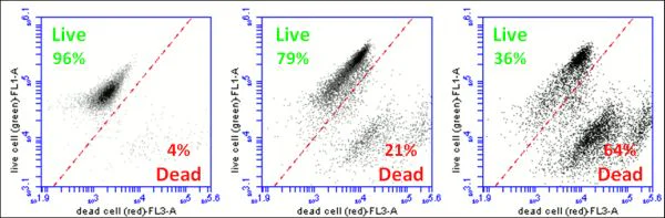 Live and dead cell assay. Fluorescent. Cell viability. ab115347 | Abcam